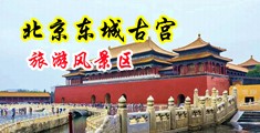 日韩美女丝袜被强插中国北京-东城古宫旅游风景区